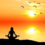 Relax Meditation Sleep Sounds