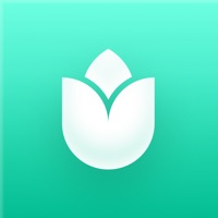 PlantIn: Определитель растений на пк