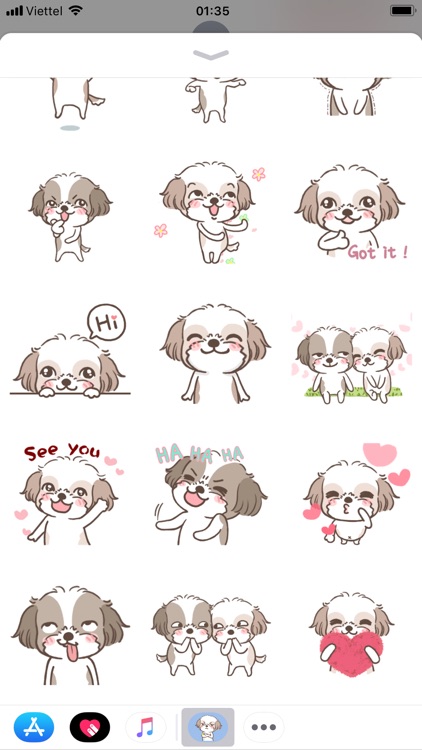 Shih tzu Dogs Animated by Jack Wiliams