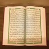 Quran - “Nasser Al Qatami"