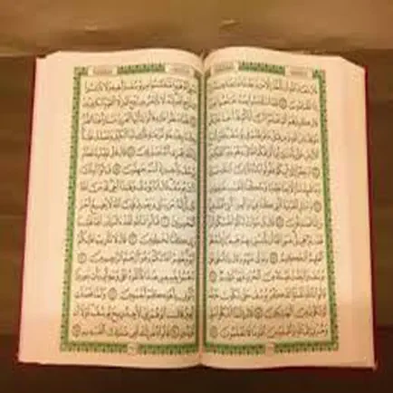 Quran - “Nasser Al Qatami