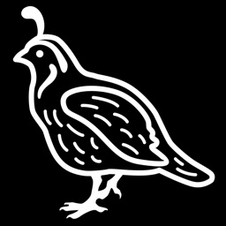 Quail Breeder