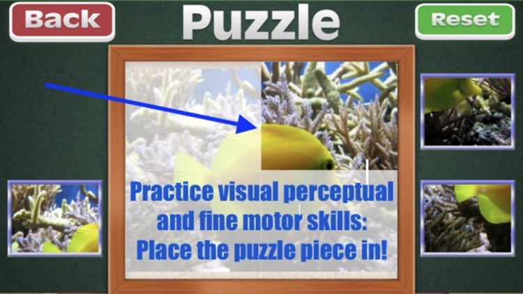 Errorless Learning
