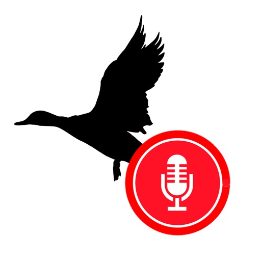 Bird Song: Record & Share Download