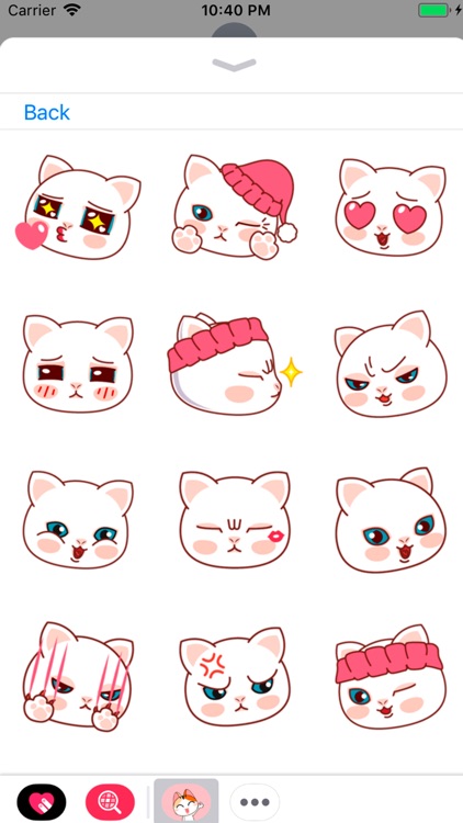 Dozen Cat Stickers