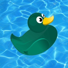 Activities of Freakin' Swimmin' Duck