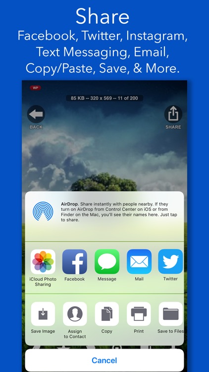 CLIPish Pro - Animations Emoji screenshot-5