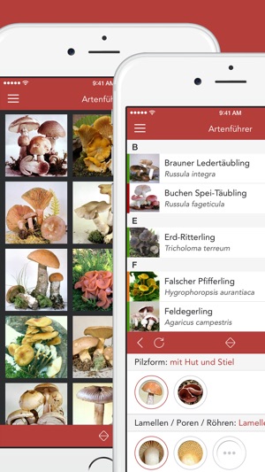 Pilze sammeln und bestimmen(圖2)-速報App