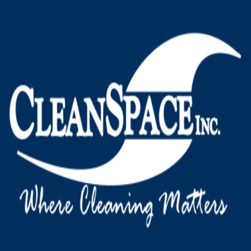 clean space cleaning services