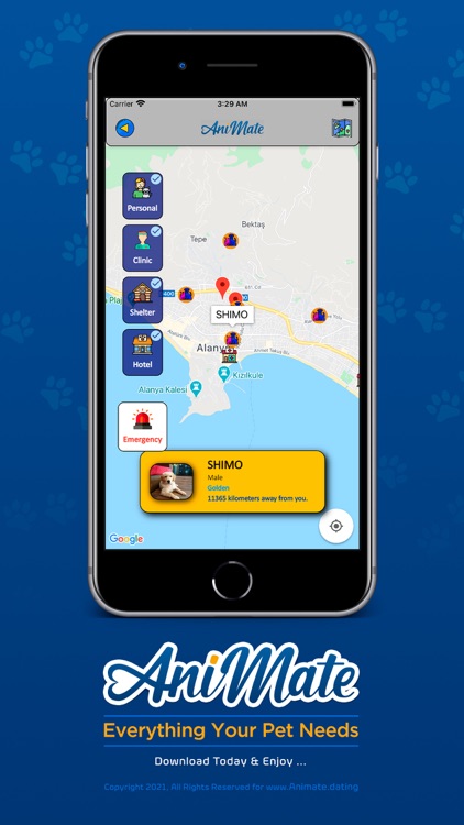 Animate - Pet finder app