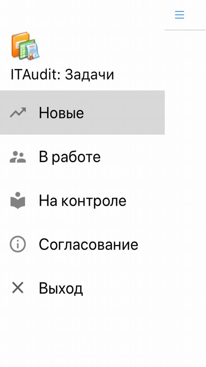 ITAudit Задачи