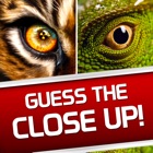 Guess the Close Up! - Photo Trivia Quiz Word Game!