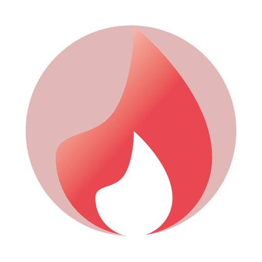 FireSecurityInspections Icon