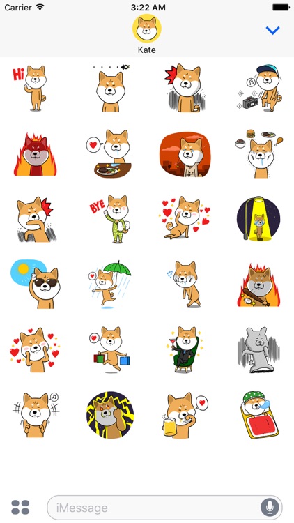Shiba Dog 'Rui'