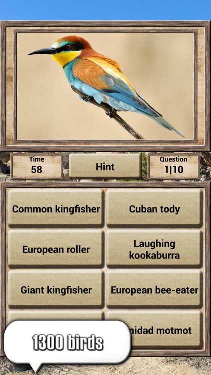 Animal Kingdom - Quiz Game