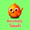 Animals sounds is the #1 most complete animal sounds app that includes various ecosystems to combine and enjoy nature from your mobile