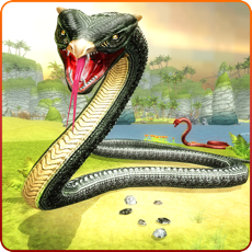 Activities of Anaconda Snake Attack
