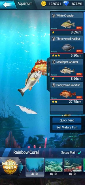 Fishing Championship(圖7)-速報App