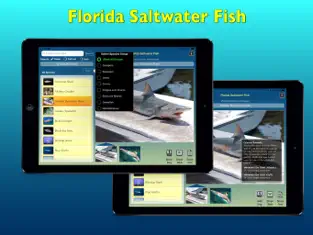 Captura 3 Florida Saltwater Fish iphone