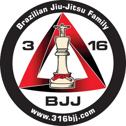 316 BJJ Cheats