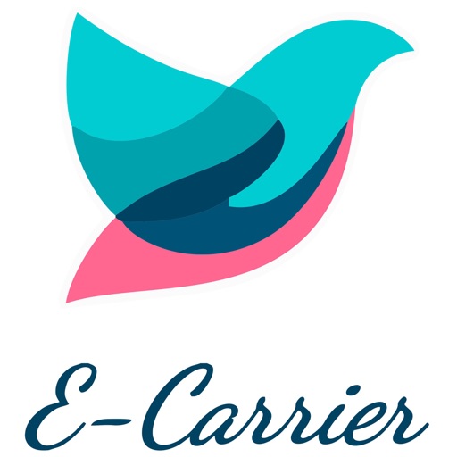 E-Carrier Icon