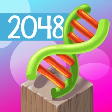 Activities of Evolution 2048 Puzzle Deluxe