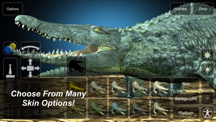 Crocodile Mannequin screenshot-4