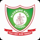 Blooming Buds Schools.