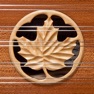 Get Dusty Strings 16/15 Dulcimer for iOS, iPhone, iPad Aso Report