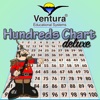 Hundreds Chart Deluxe