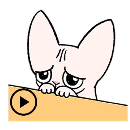 Animated Sphynx Cat Sticker