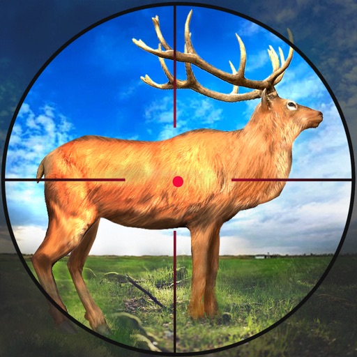 Hunting Games 2021 : Wild Deer