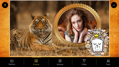 International Tiger Day Frames screenshot 3