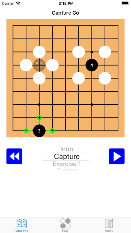 Capture Go by Timothy Hoel