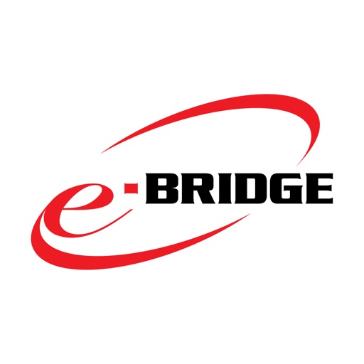 e-BRIDGE Capture & Store