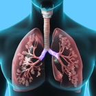 Top 30 Education Apps Like Respiratory System Trivia - Best Alternatives
