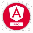 Learn Angular 8 Pro