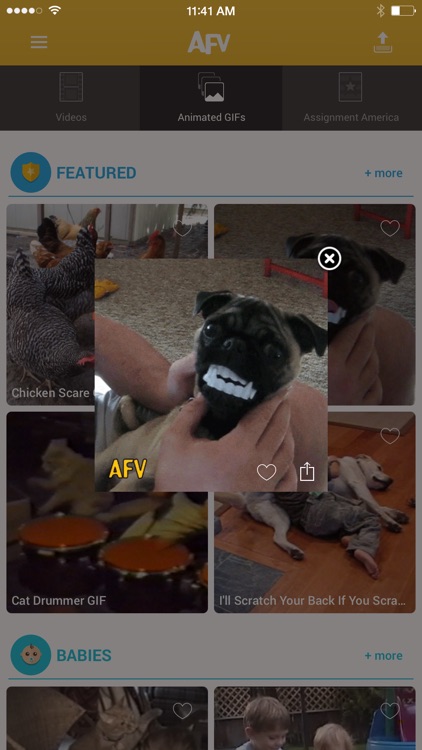America's Funniest Home Videos screenshot-4