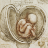 Leonardo da Vinci: Anatomy - NatureGuides Ltd.