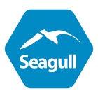 Seagull Training