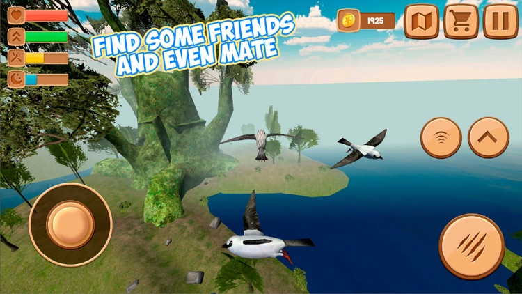 Swallow Bird Simulator 3D