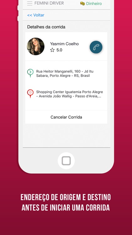 Femini Driver Motorista screenshot-3