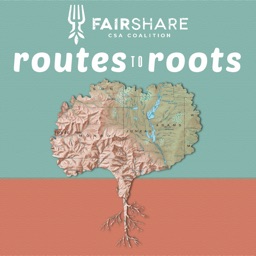 Routes to Roots