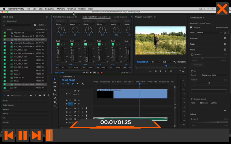 Worksflows Adobe Audition CC thumbnail 4