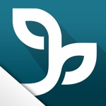 Consultoria Online Verde Ghaia