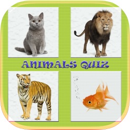 Animals Quiz Game In World