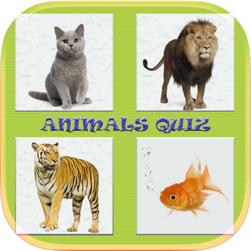 Animals Quiz Game In World Icon