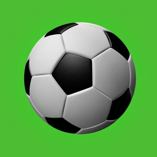 Soccer Teammate