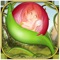 Icon Forest Fairy Bubble Shooter
