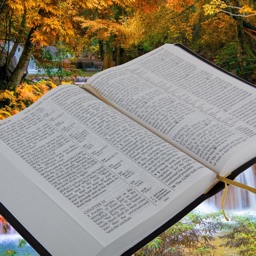 Track Your Bible Reading